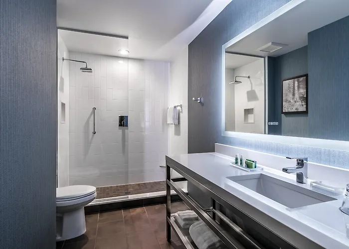 Hotel Cambria Loop - Theatre District