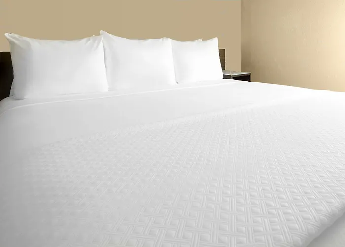 Cambria Loop - Theatre District 4* Chicago